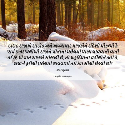 Picture 06 - 2 શમુએલ 19:11 GUJIRV - દાઉદ રાજાએ સાદોક - Bible Verse Picture