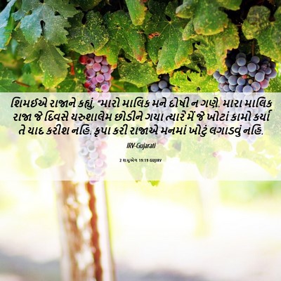 Picture 06 - 2 શમુએલ 19:19 GUJIRV - શિમઈએ રાજાને - Bible Verse Picture