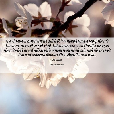 Picture 06 - 2 શમુએલ 20:10 GUJIRV - પણ યોઆબના હાથમાં - Bible Verse Picture