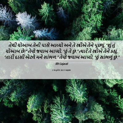 Picture 06 - 2 શમુએલ 20:17 GUJIRV - તેથી યોઆબ તેની - Bible Verse Picture