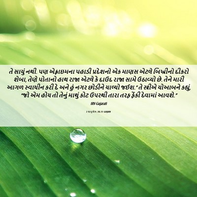 Picture 06 - 2 શમુએલ 20:21 GUJIRV - તે સાચું નથી. પણ - Bible Verse Picture