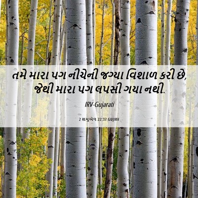 Picture 06 - 2 શમુએલ 22:37 GUJIRV - તમે મારા પગ નીચેની - Bible Verse Picture