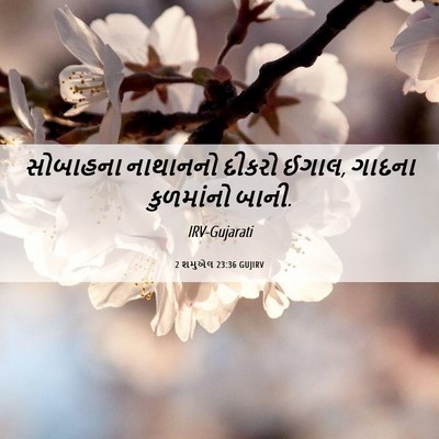 Picture 06 - 2 શમુએલ 23:36 GUJIRV - સોબાહના નાથાનનો - Bible Verse Picture