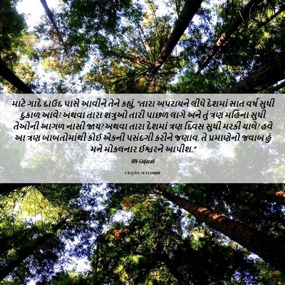 Picture 06 - 2 શમુએલ 24:13 GUJIRV - માટે ગાદે દાઉદ - Bible Verse Picture