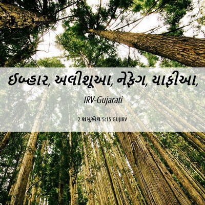 Picture 06 - 2 શમુએલ 5:15 GUJIRV - ઈબ્હાર, અલીશૂઆ, - Bible Verse Picture