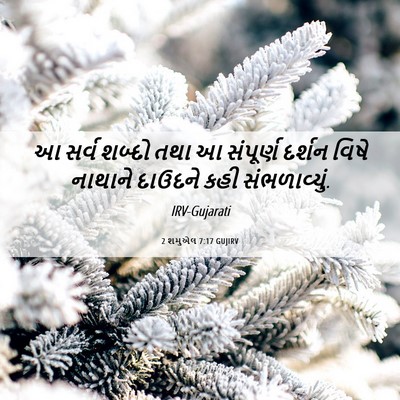 Picture 06 - 2 શમુએલ 7:17 GUJIRV - આ સર્વ શબ્દો તથા આ - Bible Verse Picture