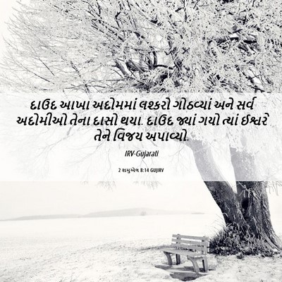 Picture 06 - 2 શમુએલ 8:14 GUJIRV - દાઉદ આખા અદોમમાં - Bible Verse Picture