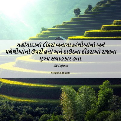 Picture 06 - 2 શમુએલ 8:18 GUJIRV - યહોયાદાનો દીકરો - Bible Verse Picture