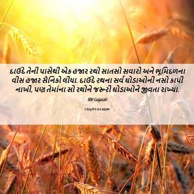 Picture 06 - 2 શમુએલ 8:4 GUJIRV - દાઉદે તેની પાસેથી - Bible Verse Picture