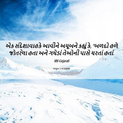 Picture 06 - અયૂબ 1:14 GUJIRV - એક સંદેશાવાહકે - Bible Verse Picture