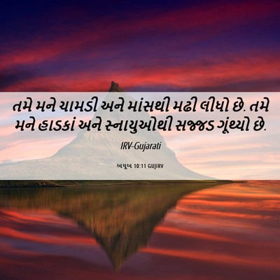 Picture 06 - અયૂબ 10:11 GUJIRV - તમે મને ચામડી અને - Bible Verse Picture