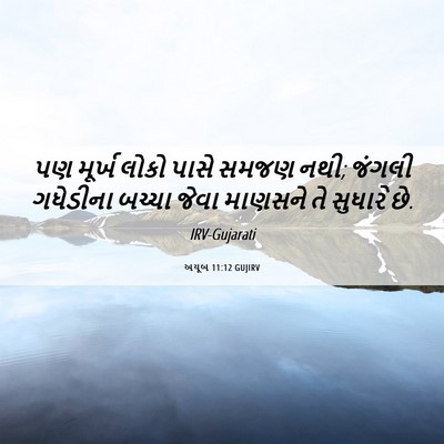 Picture 06 - અયૂબ 11:12 GUJIRV - પણ મૂર્ખ લોકો પાસે - Bible Verse Picture