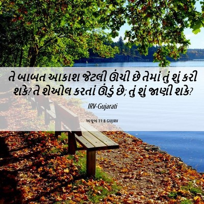 Picture 06 - અયૂબ 11:8 GUJIRV - તે બાબત આકાશ જેટલી - Bible Verse Picture