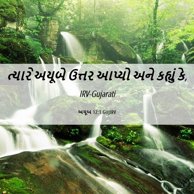 Picture 06 - અયૂબ 12:1 GUJIRV - ત્યારે અયૂબે - Bible Verse Picture