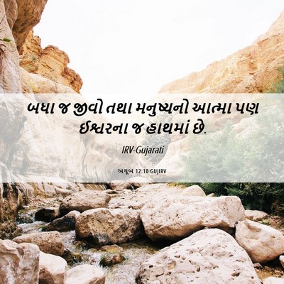 Picture 06 - અયૂબ 12:10 GUJIRV - બધા જ જીવો તથા - Bible Verse Picture