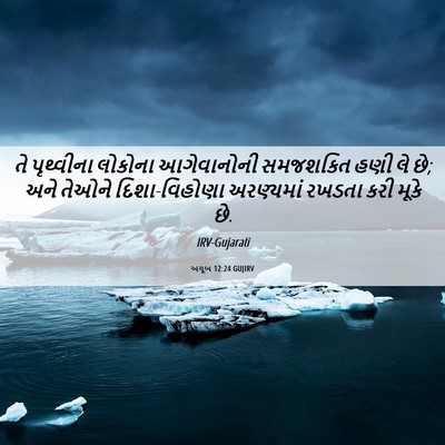 Picture 06 - અયૂબ 12:24 GUJIRV - તે પૃથ્વીના - Bible Verse Picture