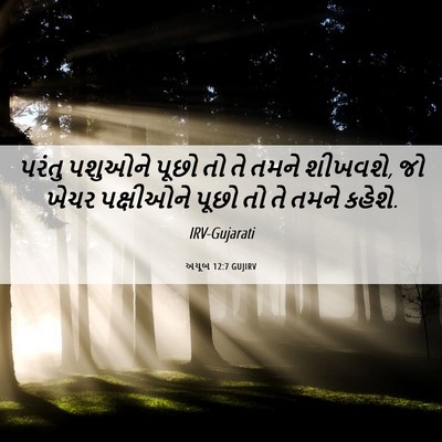 Picture 06 - અયૂબ 12:7 GUJIRV - પરંતુ પશુઓને પૂછો - Bible Verse Picture