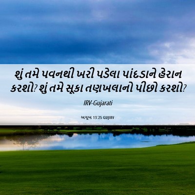 Picture 06 - અયૂબ 13:25 GUJIRV - શું તમે પવનથી ખરી - Bible Verse Picture