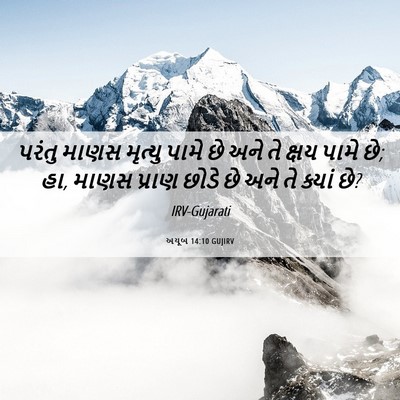 Picture 06 - અયૂબ 14:10 GUJIRV - પરંતુ માણસ મૃત્યુ - Bible Verse Picture