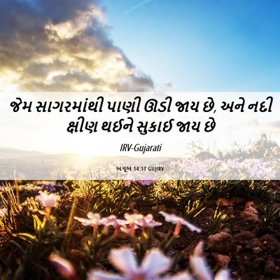 Picture 06 - અયૂબ 14:11 GUJIRV - જેમ સાગરમાંથી - Bible Verse Picture