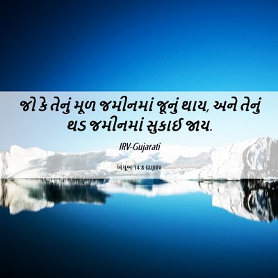 Picture 06 - અયૂબ 14:8 GUJIRV - જો કે તેનું મૂળ - Bible Verse Picture