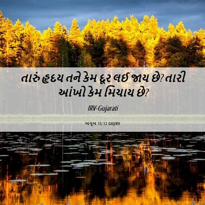 Picture 06 - અયૂબ 15:12 GUJIRV - તારું હૃદય તને કેમ - Bible Verse Picture