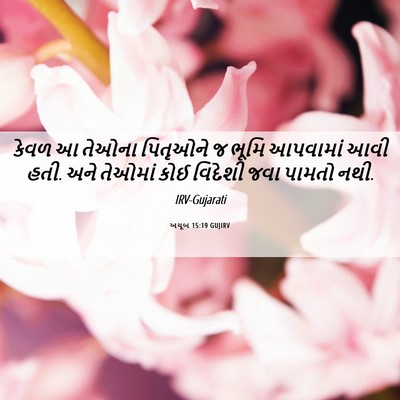 Picture 06 - અયૂબ 15:19 GUJIRV - કેવળ આ તેઓના - Bible Verse Picture