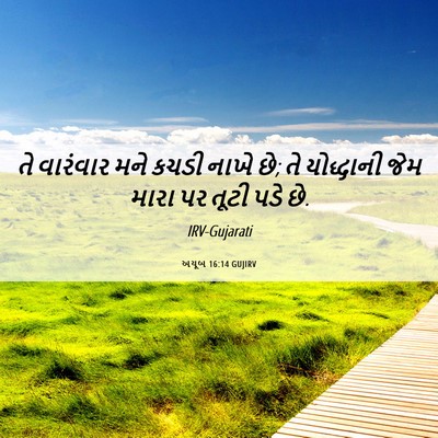Picture 06 - અયૂબ 16:14 GUJIRV - તે વારંવાર મને - Bible Verse Picture