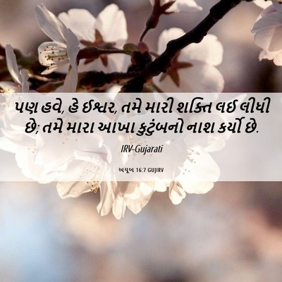 Picture 06 - અયૂબ 16:7 GUJIRV - પણ હવે, હે ઈશ્વર, - Bible Verse Picture