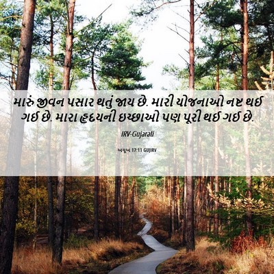 Picture 06 - અયૂબ 17:11 GUJIRV - મારું જીવન પસાર - Bible Verse Picture