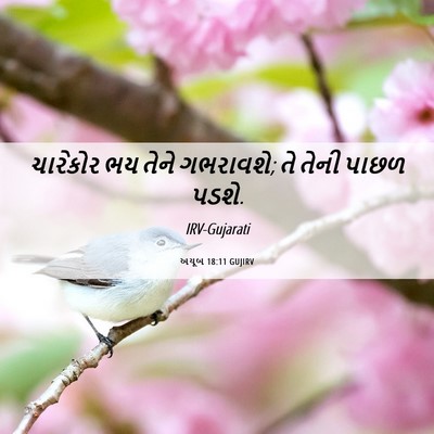 Picture 06 - અયૂબ 18:11 GUJIRV - ચારેકોર ભય તેને - Bible Verse Picture
