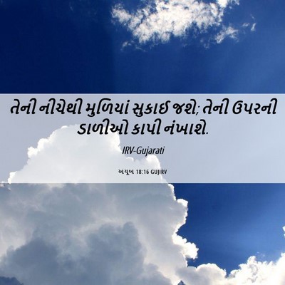 Picture 06 - અયૂબ 18:16 GUJIRV - તેની નીચેથી - Bible Verse Picture