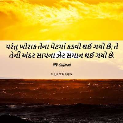 Picture 06 - અયૂબ 20:14 GUJIRV - પરંતુ ખોરાક તેના - Bible Verse Picture