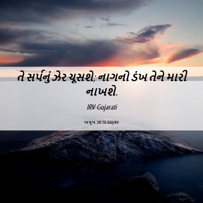 Picture 06 - અયૂબ 20:16 GUJIRV - તે સર્પનું ઝેર - Bible Verse Picture