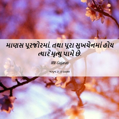 Picture 06 - અયૂબ 21:23 GUJIRV - માણસ પૂરજોરમાં, - Bible Verse Picture