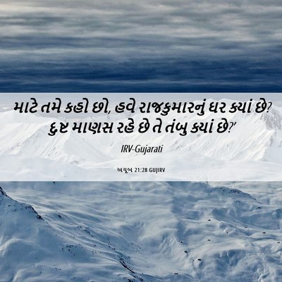 Picture 06 - અયૂબ 21:28 GUJIRV - માટે તમે કહો છો, - Bible Verse Picture
