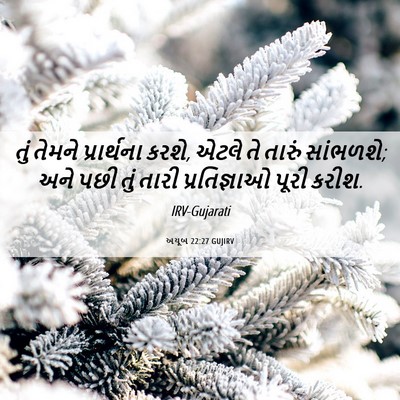Picture 06 - અયૂબ 22:27 GUJIRV - તું તેમને - Bible Verse Picture