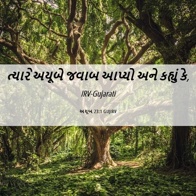 Picture 06 - અયૂબ 23:1 GUJIRV - ત્યારે અયૂબે જવાબ - Bible Verse Picture