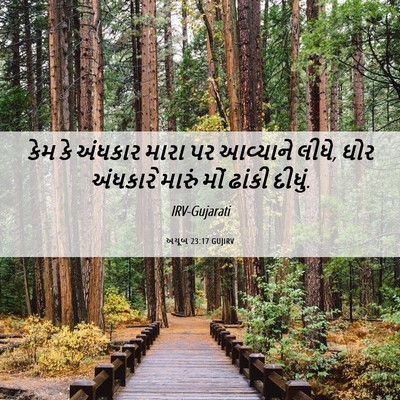 Picture 06 - અયૂબ 23:17 GUJIRV - કેમ કે અંધકાર મારા - Bible Verse Picture