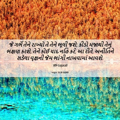 Picture 06 - અયૂબ 24:20 GUJIRV - જે ગર્ભે તેને - Bible Verse Picture