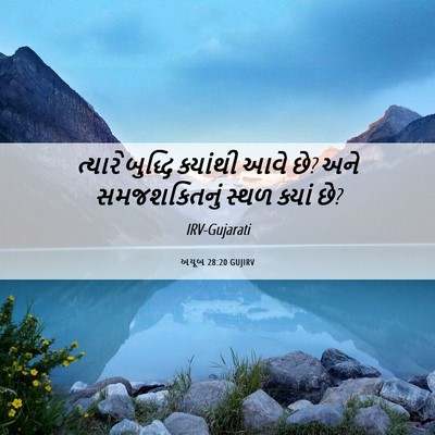 Picture 06 - અયૂબ 28:20 GUJIRV - ત્યારે બુદ્ધિ - Bible Verse Picture