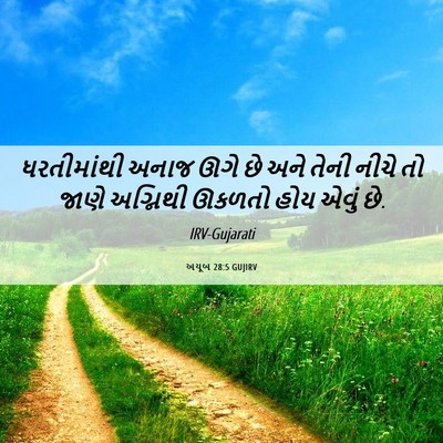 Picture 06 - અયૂબ 28:5 GUJIRV - ધરતીમાંથી અનાજ - Bible Verse Picture