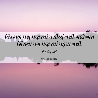 Picture 06 - અયૂબ 28:8 GUJIRV - વિકરાળ પશુ પણ - Bible Verse Picture