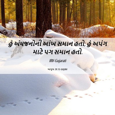 Picture 06 - અયૂબ 29:15 GUJIRV - હું અંધજનોની આંખ - Bible Verse Picture