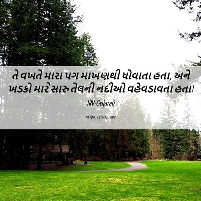 Picture 06 - અયૂબ 29:6 GUJIRV - તે વખતે મારા પગ - Bible Verse Picture