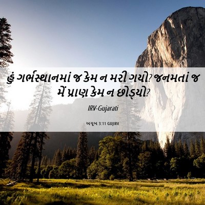 Picture 06 - અયૂબ 3:11 GUJIRV - હું ગર્ભસ્થાનમાં - Bible Verse Picture