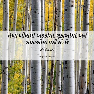 Picture 06 - અયૂબ 30:6 GUJIRV - તેઓ ખીણમાં, - Bible Verse Picture