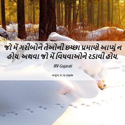 Picture 06 - અયૂબ 31:16 GUJIRV - જો મેં ગરીબોને - Bible Verse Picture
