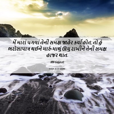 Picture 06 - અયૂબ 31:37 GUJIRV - મેં મારાં પગલાં - Bible Verse Picture