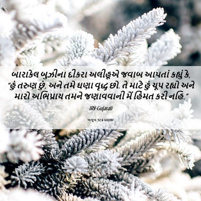 Picture 06 - અયૂબ 32:6 GUJIRV - બારાકેલ બુઝીના - Bible Verse Picture